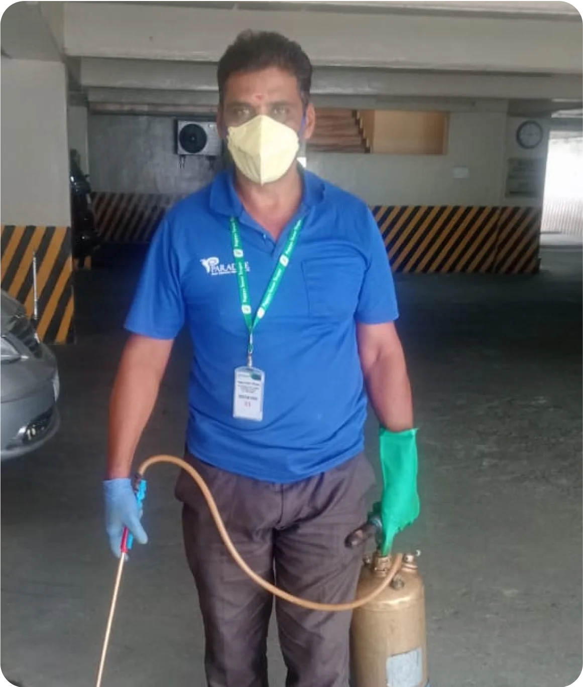 Best-pest-control-services-in-coimbatore