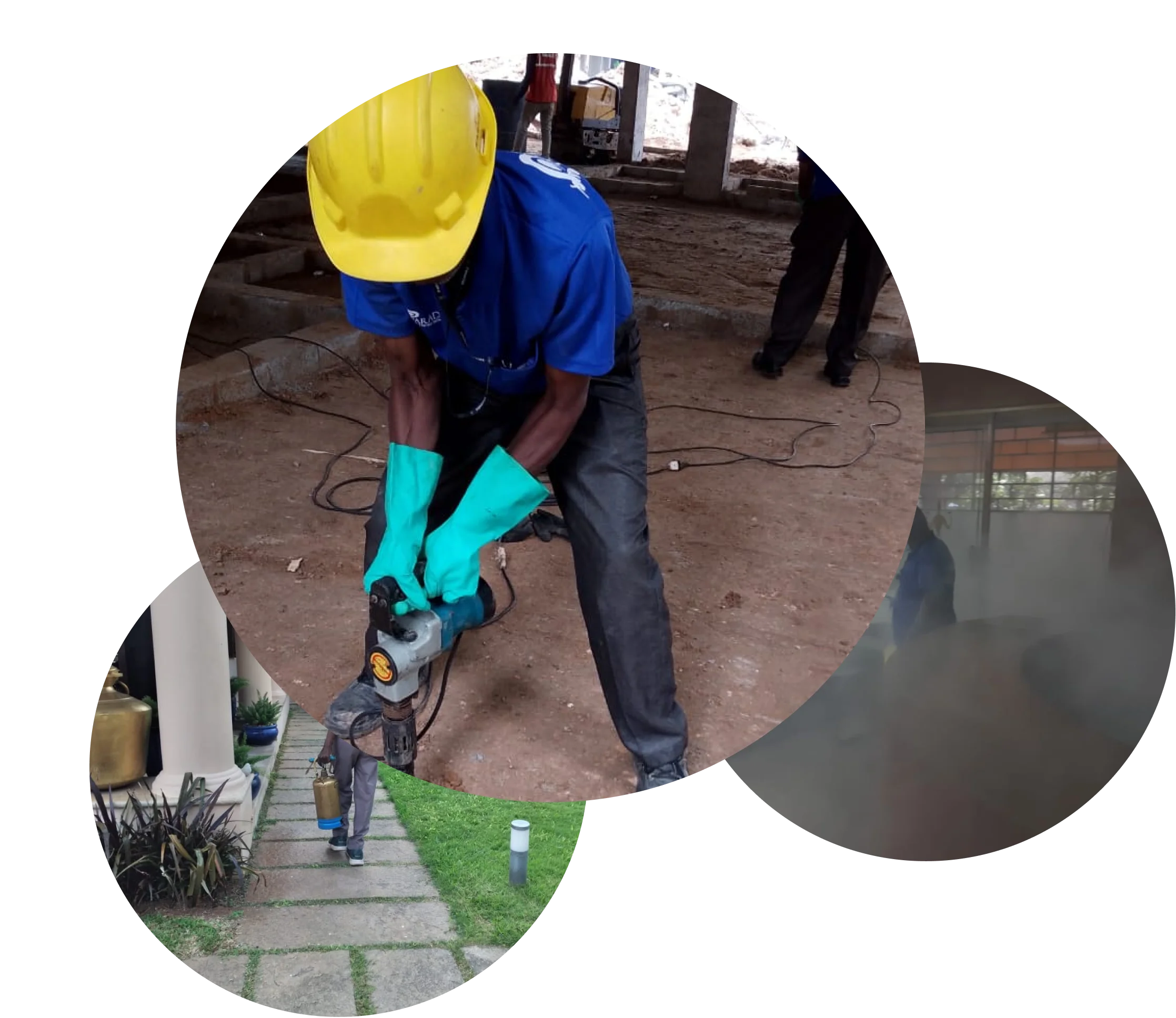 Best-pest-control-services-in-coimbatore